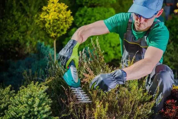 landscaping services Brookville